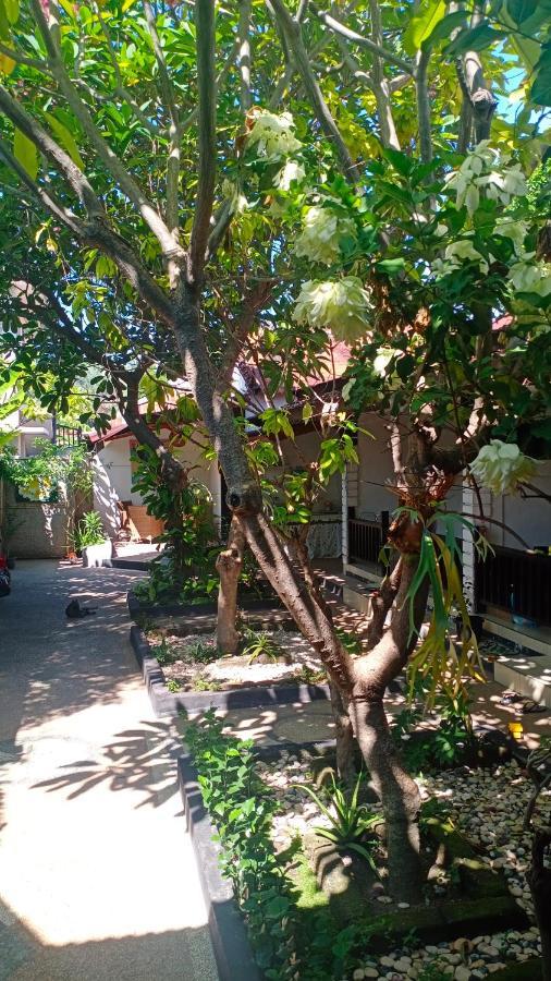 Gili Guest House ギリ・アイル エクステリア 写真